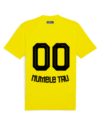 Tricou De Joc Dinamo 25/26 Galben personalizat