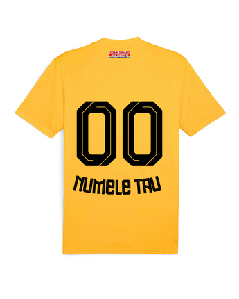 Tricou Portar De Joc Dinamo 25/26 Portocaliu Personalizat